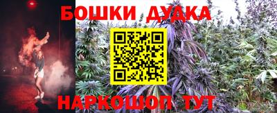 PSILOCYBIN Малгобек