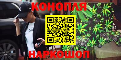 PSILOCYBIN Малгобек