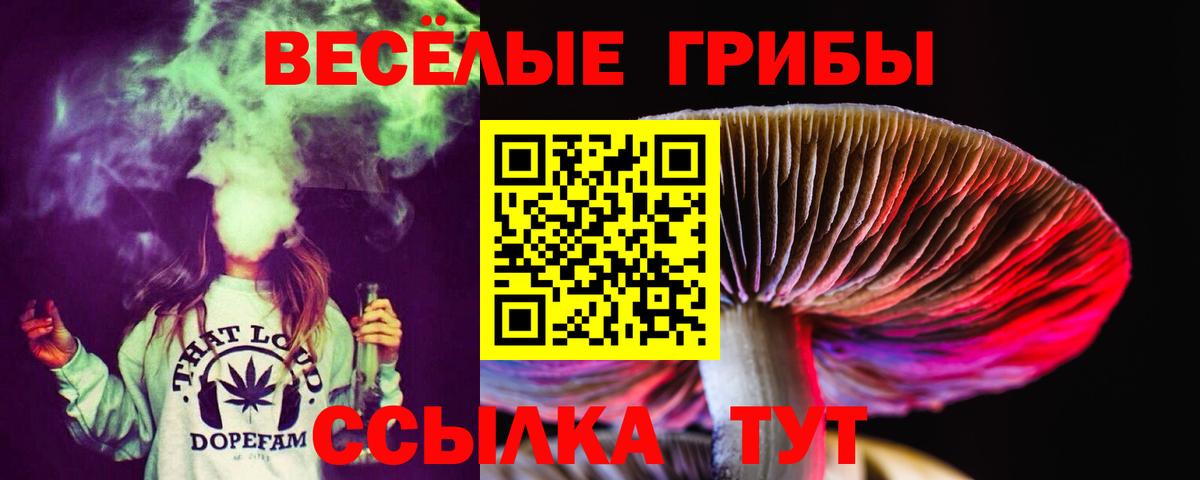 Псилоцибиновые грибы Psilocybe Елабуга
