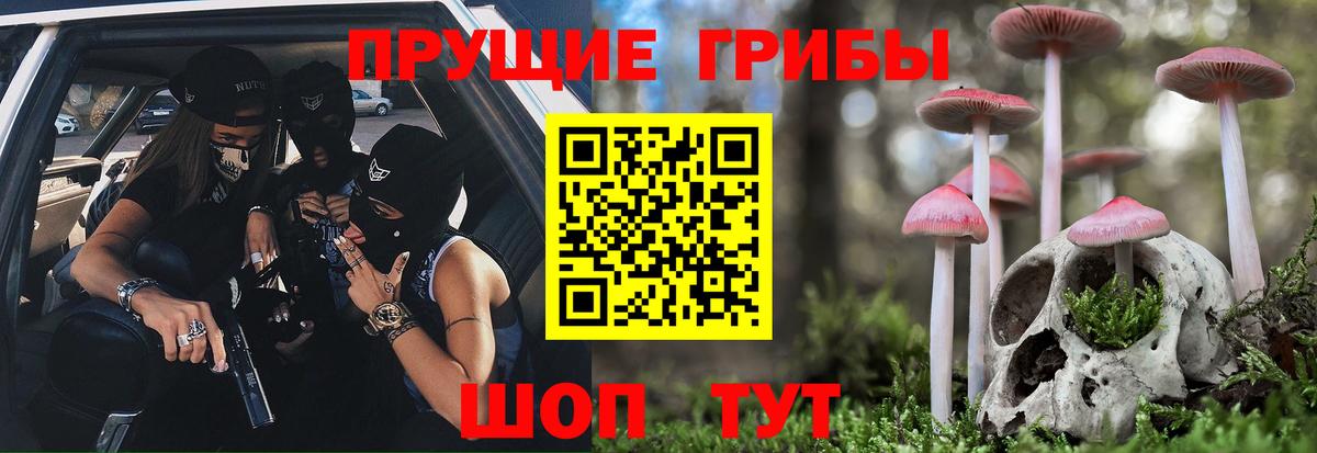 Псилоцибиновые грибы мухоморы  Вход с VPN  Елабуга  Псилоцибиновые грибы Psilocybe 